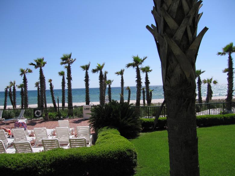 Free stock image of Palm Trees and Oceanfront created by Brandon Campbell