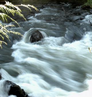 Tumwater Falls - Free Stock Photo