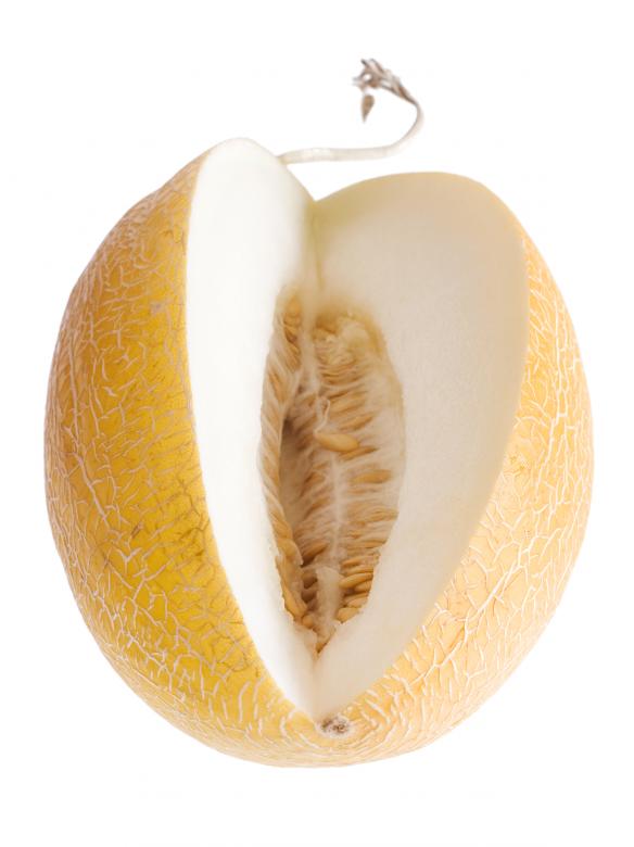 Free stock image of Melon created by 2happy