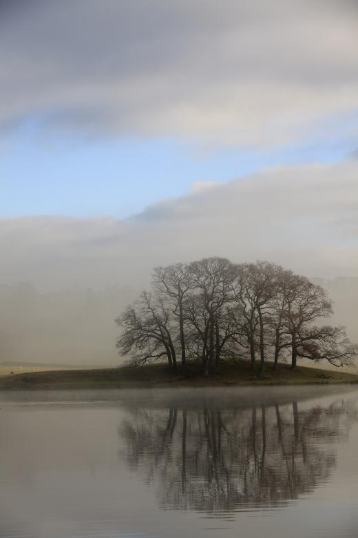 Free stock image of Trees reflected created by anniegreenwood