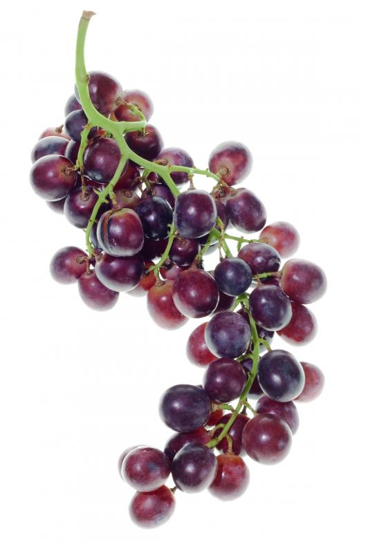 Free stock image of food created by 2happy