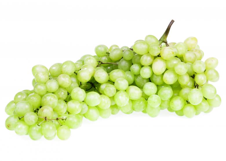 Free stock image of grape created by 2happy