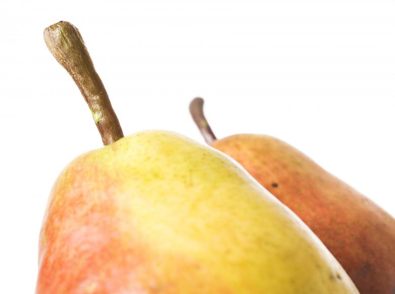 Free stock image of pear created by 2happy
