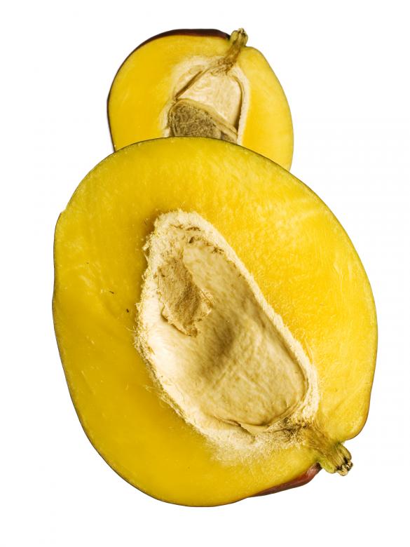 Free stock image of food  created by 2happy
