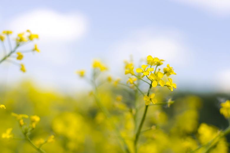 Free stock image of scene of nature created by 2happy
