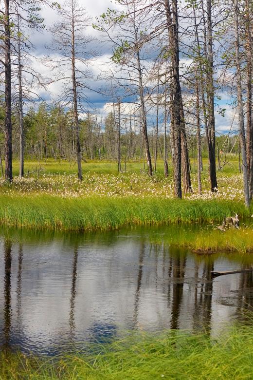 Free stock image of scene of nature created by 2happy