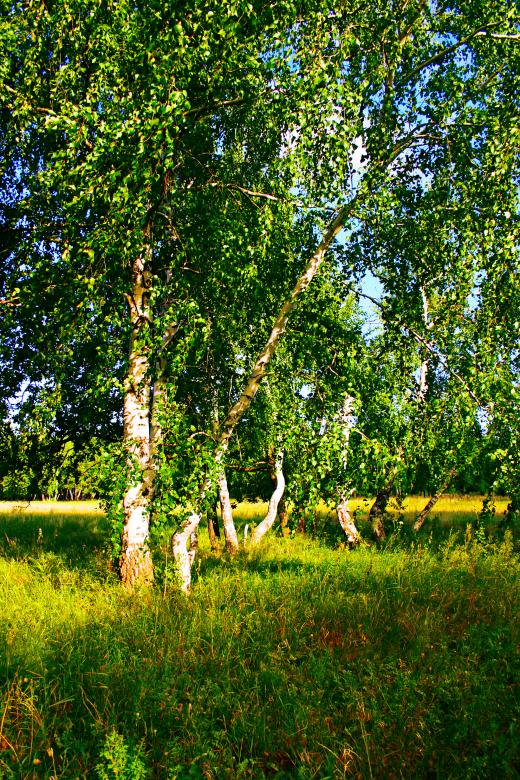 Free stock image of scene of nature created by 2happy