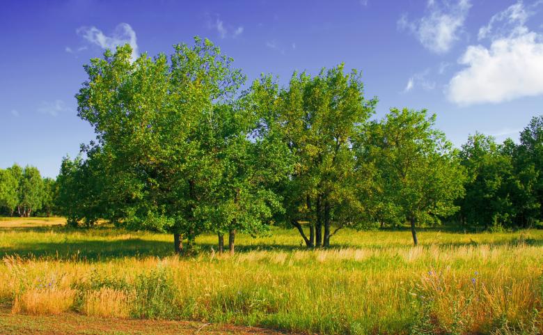 Free stock image of scene of nature created by 2happy