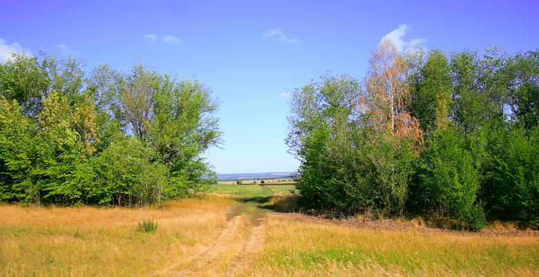 Free stock image of scene of nature created by 2happy