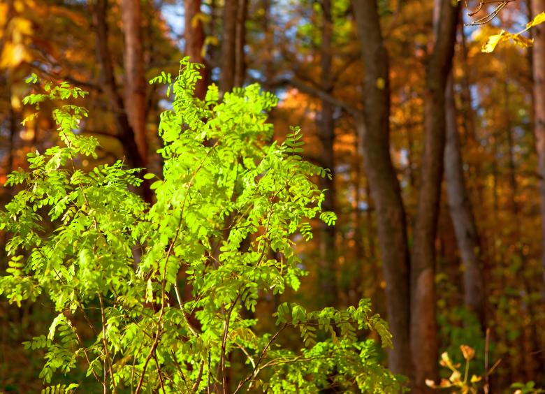 Free stock image of scene of nature created by 2happy