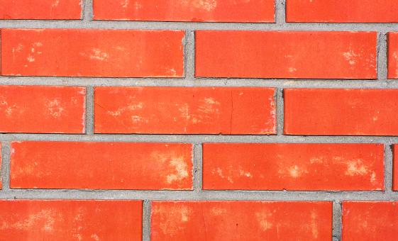 Free Stock Photo of backdrop