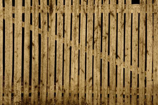 Free Stock Photo of backdrop