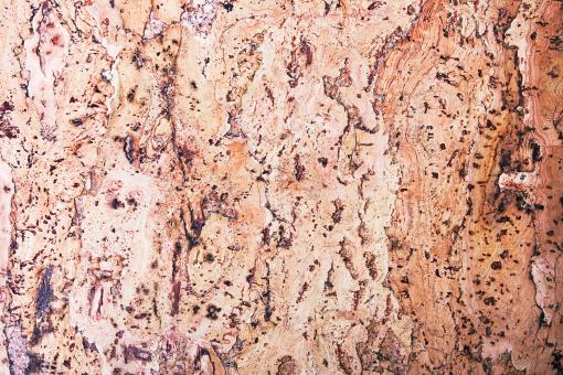 backdrop - Free Stock Photo