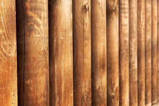 Free Stock Photo of backdrop