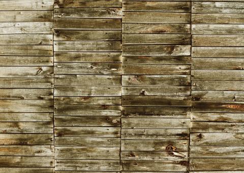 backdrop - Free Stock Photo