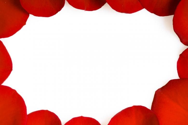 Free stock image of rose petals created by 2happy