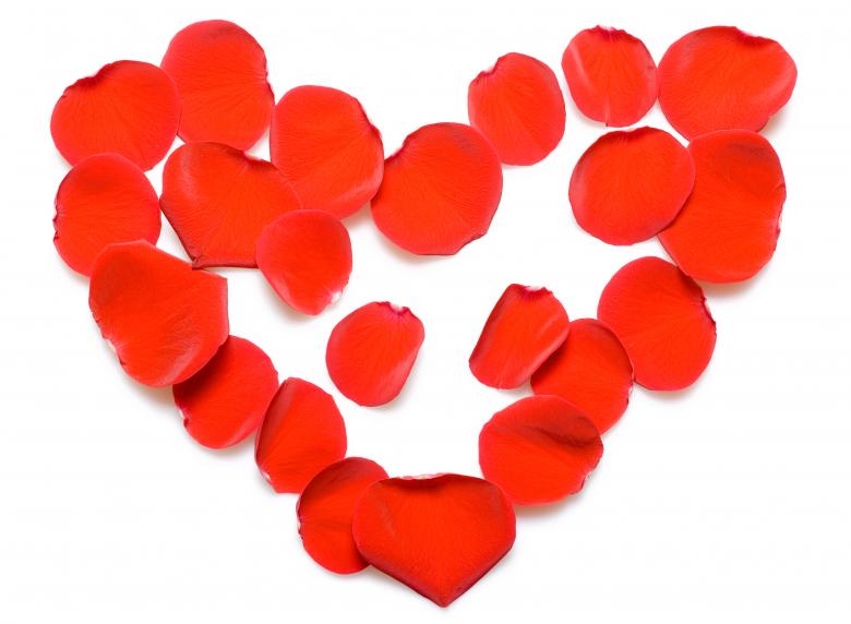 Free stock image of rose petals created by 2happy