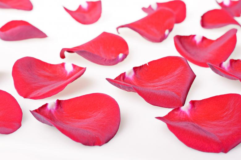 Free stock image of rose petals created by 2happy