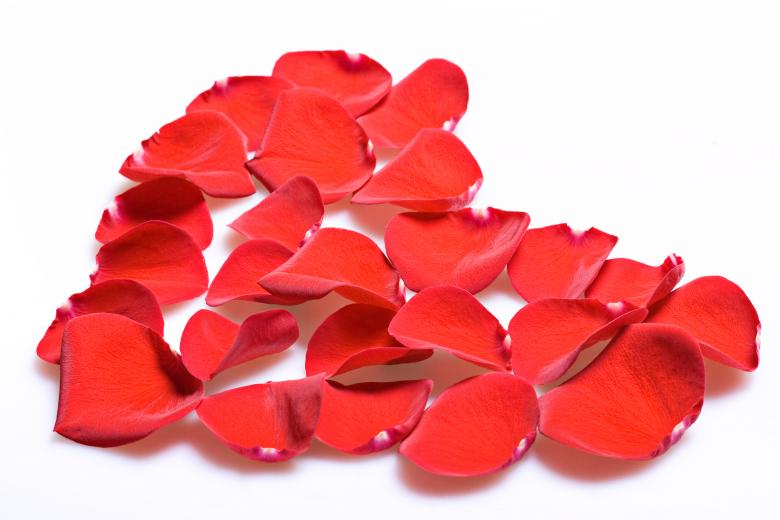 Free stock image of rose petals created by 2happy