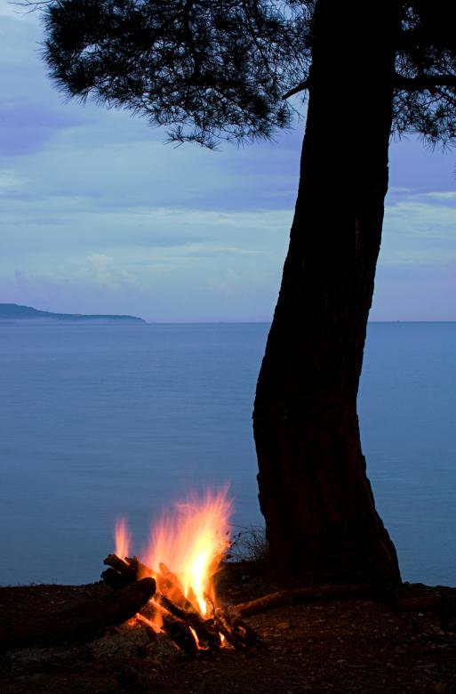 Free stock image of tree created by 2happy