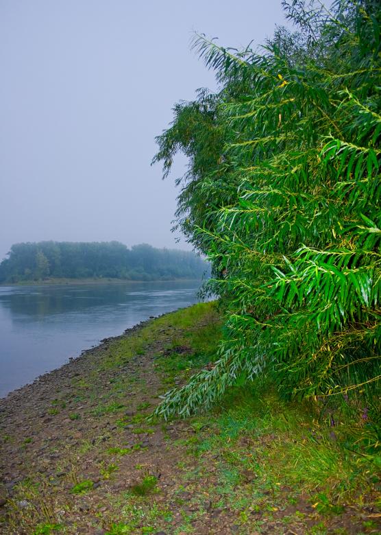 Free stock image of tree created by 2happy