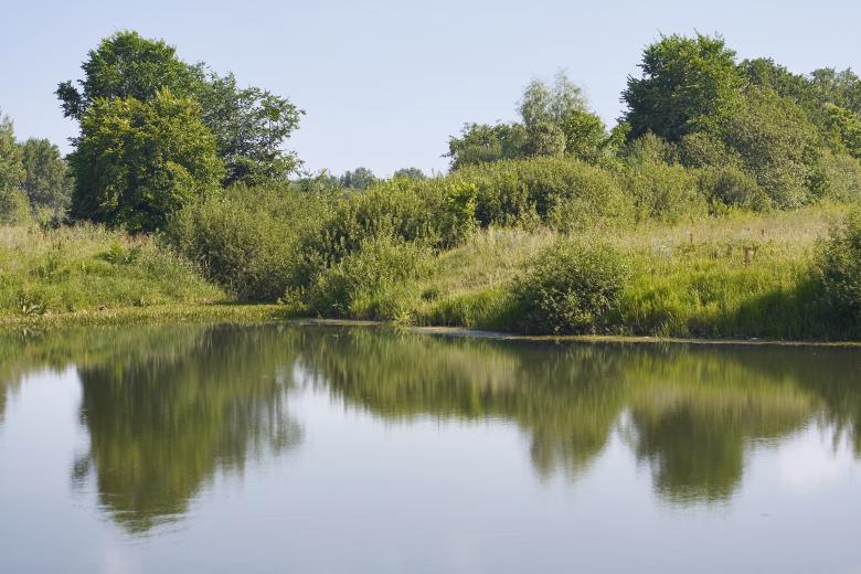 Free stock image of lake created by 2happy