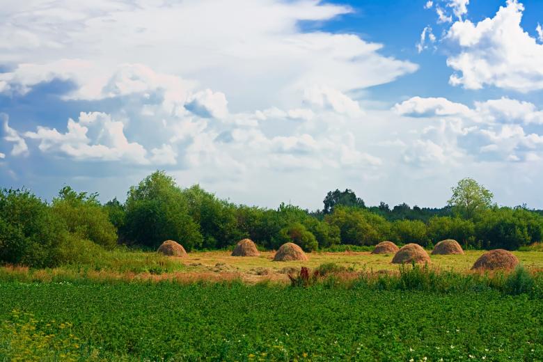 Free stock image of nature created by 2happy