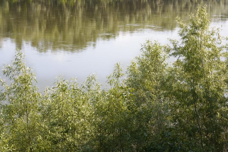 Free stock image of river created by 2happy