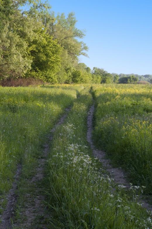 Free stock image of road created by 2happy