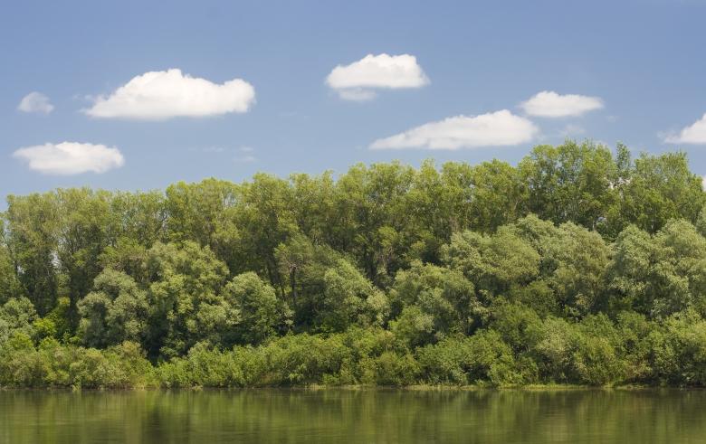 Free stock image of nature scene created by 2happy