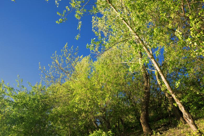 Free stock image of summer created by 2happy