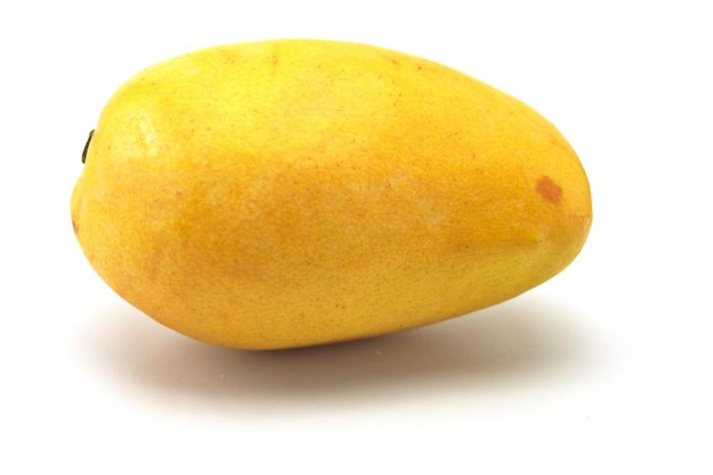 Free stock image of mango created by homero chapa