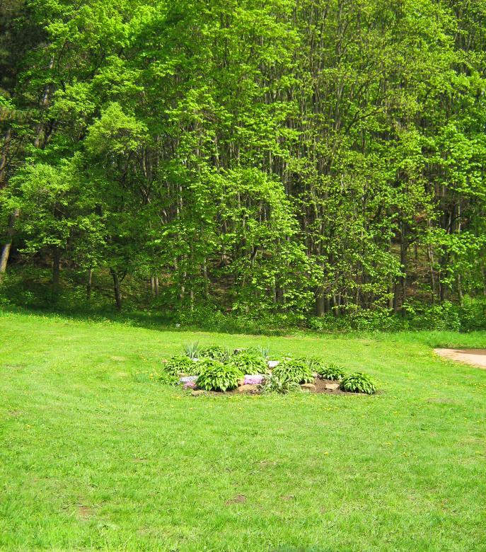 Free stock image of grass field created by 2happy