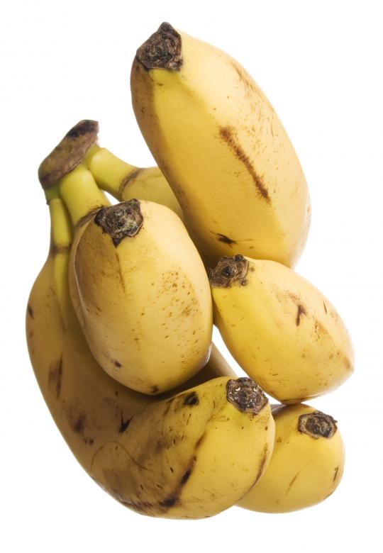 Free stock image of bananas created by 2happy