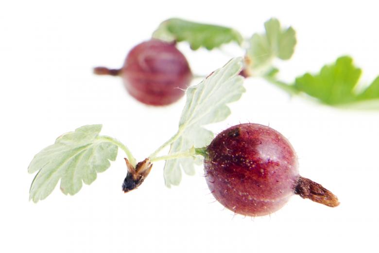Free stock image of Healthy Eating created by 2happy