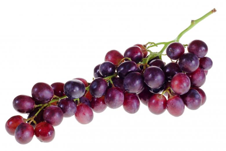 Free stock image of Purple Grapes created by 2happy