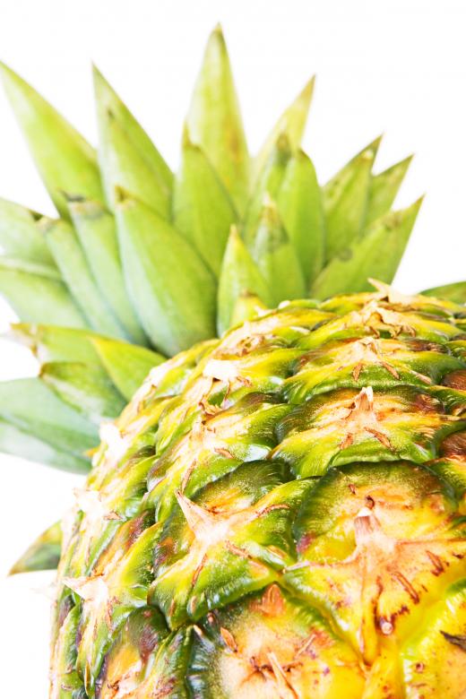 Free stock image of healthy eating  created by 2happy