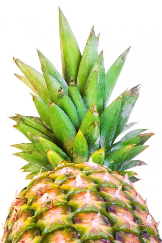 Free stock image of pineapple created by 2happy