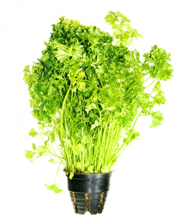Free stock image of healthy eating  created by 2happy