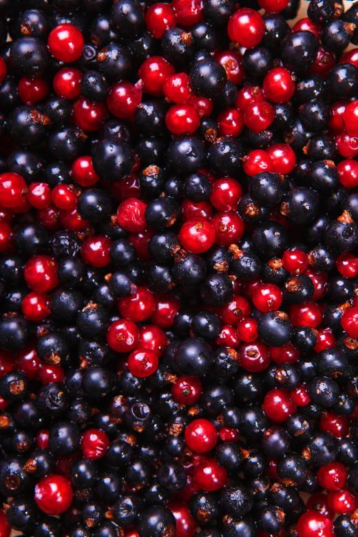 Free stock image of Berries created by 2happy