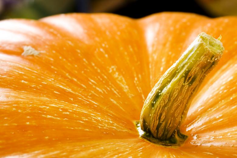 Free stock image of Pumpkin created by 2happy