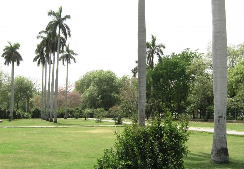 Free stock image of Garden created by Manash Choudhuri