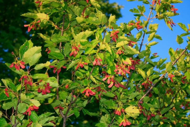 Free stock image of Flower created by 2happy