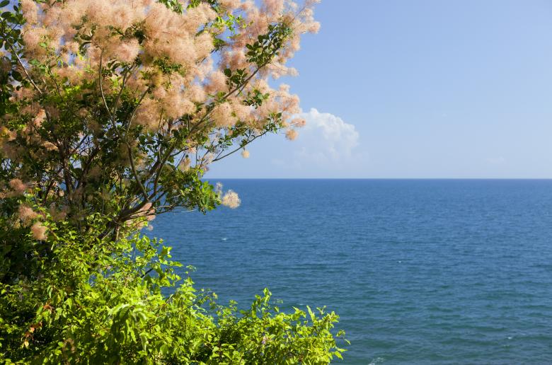 Free stock image of Sea created by 2happy