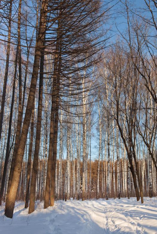 Free stock image of Winter created by 2happy