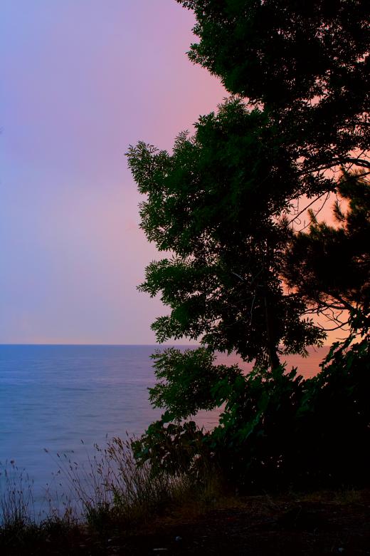Free stock image of Nature background created by 2happy