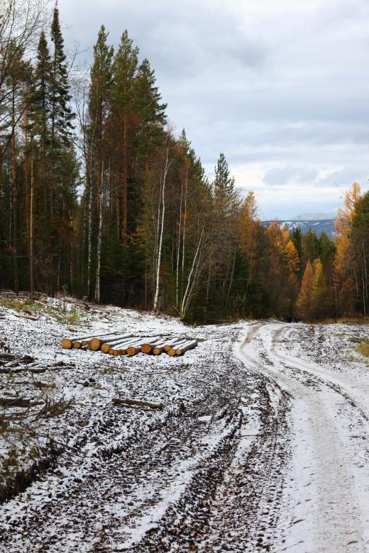 Free stock image of Winter road created by 2happy