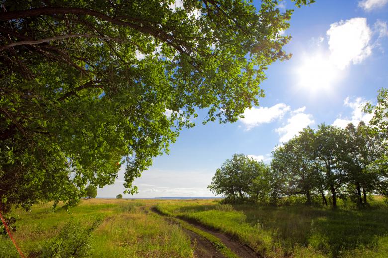 Free stock image of Sunny day created by 2happy