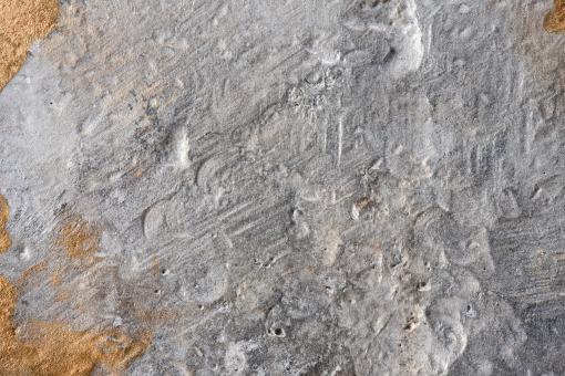 Free Stock Photo of Concrete background