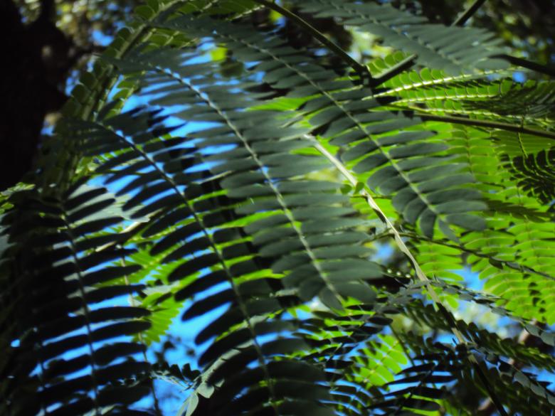 Free stock image of Woods created by Heather Boudreau